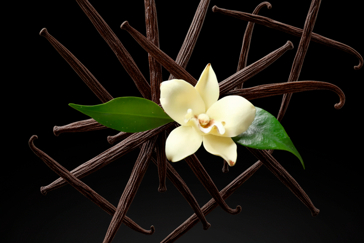 familia olfativa auren 6